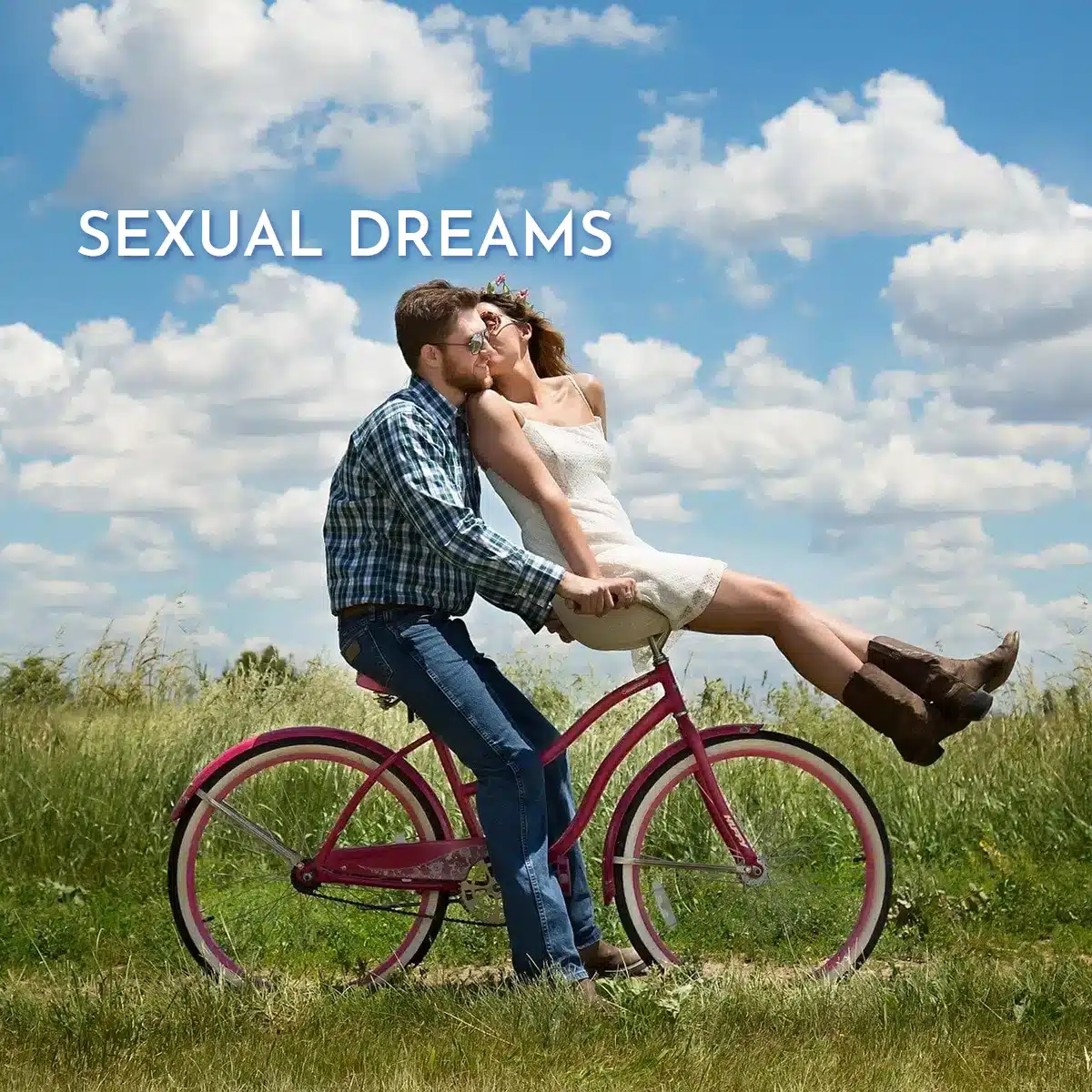 Sexual Dreams & Their Meanings - The Dream Analyst