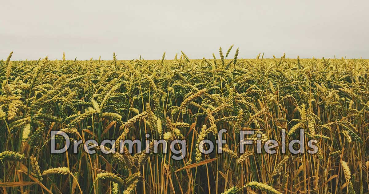 Dreaming of Fields written superimposed over a field of wheat.