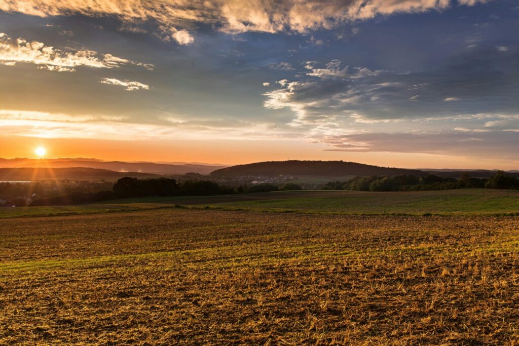 A wide open field in a dream at sunset